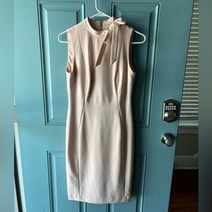 Pale Pink Calvin Klein Dress Size 6